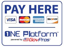 Online Payment