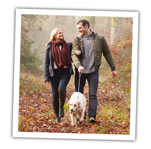 couple on a fall walk with their dog