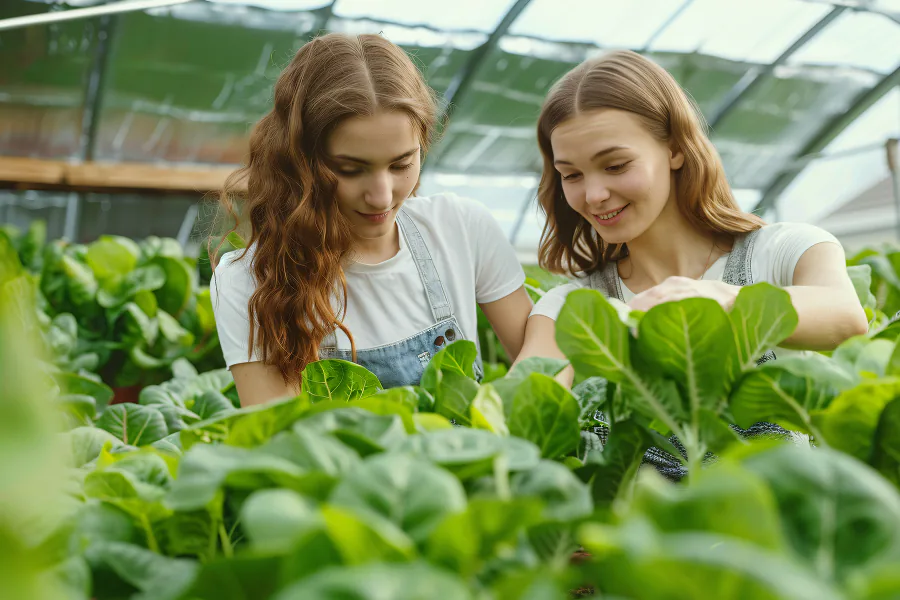 Two young women examining leafy green plants in a glass greenhouse.
