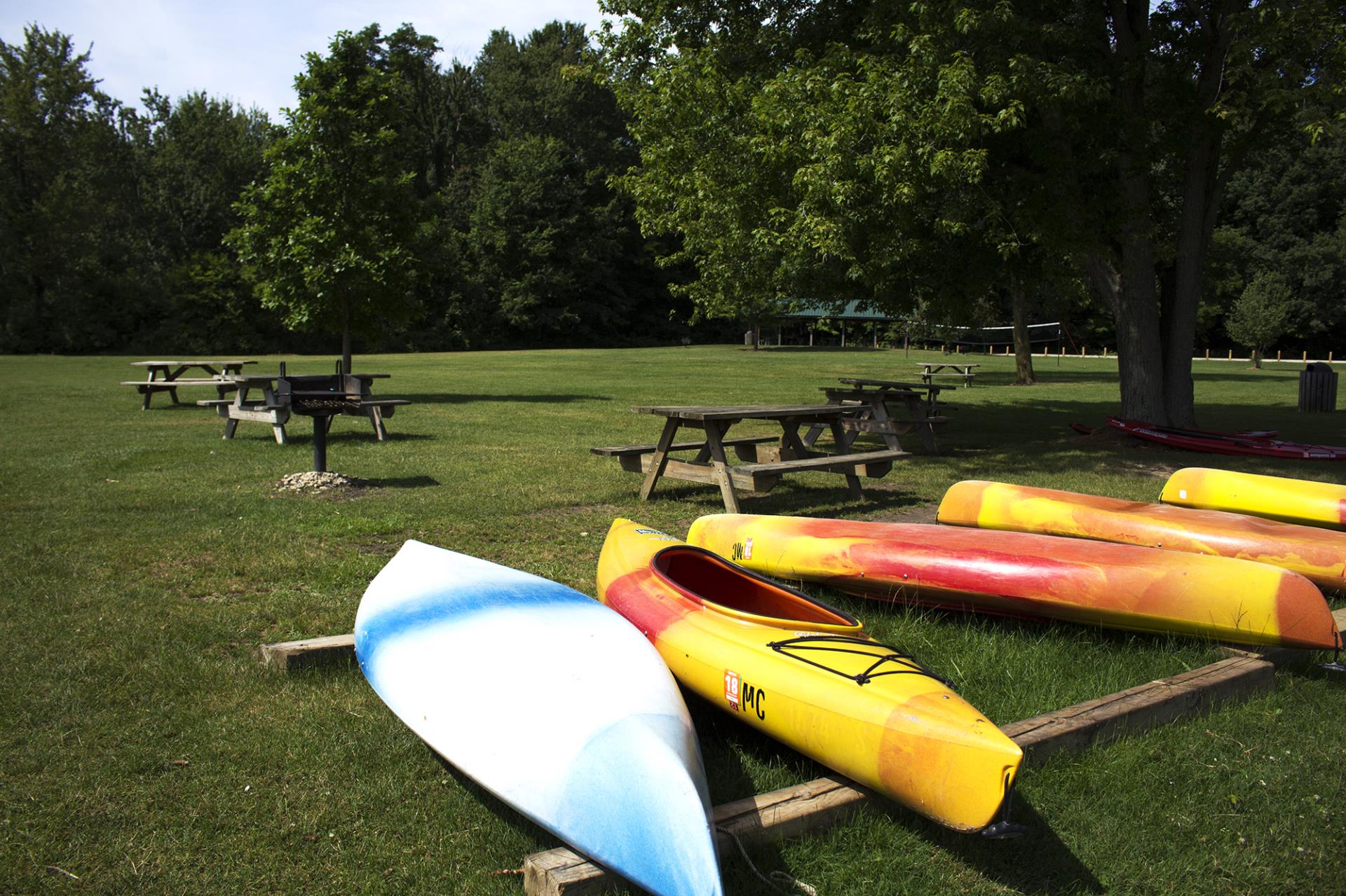 Kayaks and canoes stored on grass at a park with picnic tables and trees in the background.