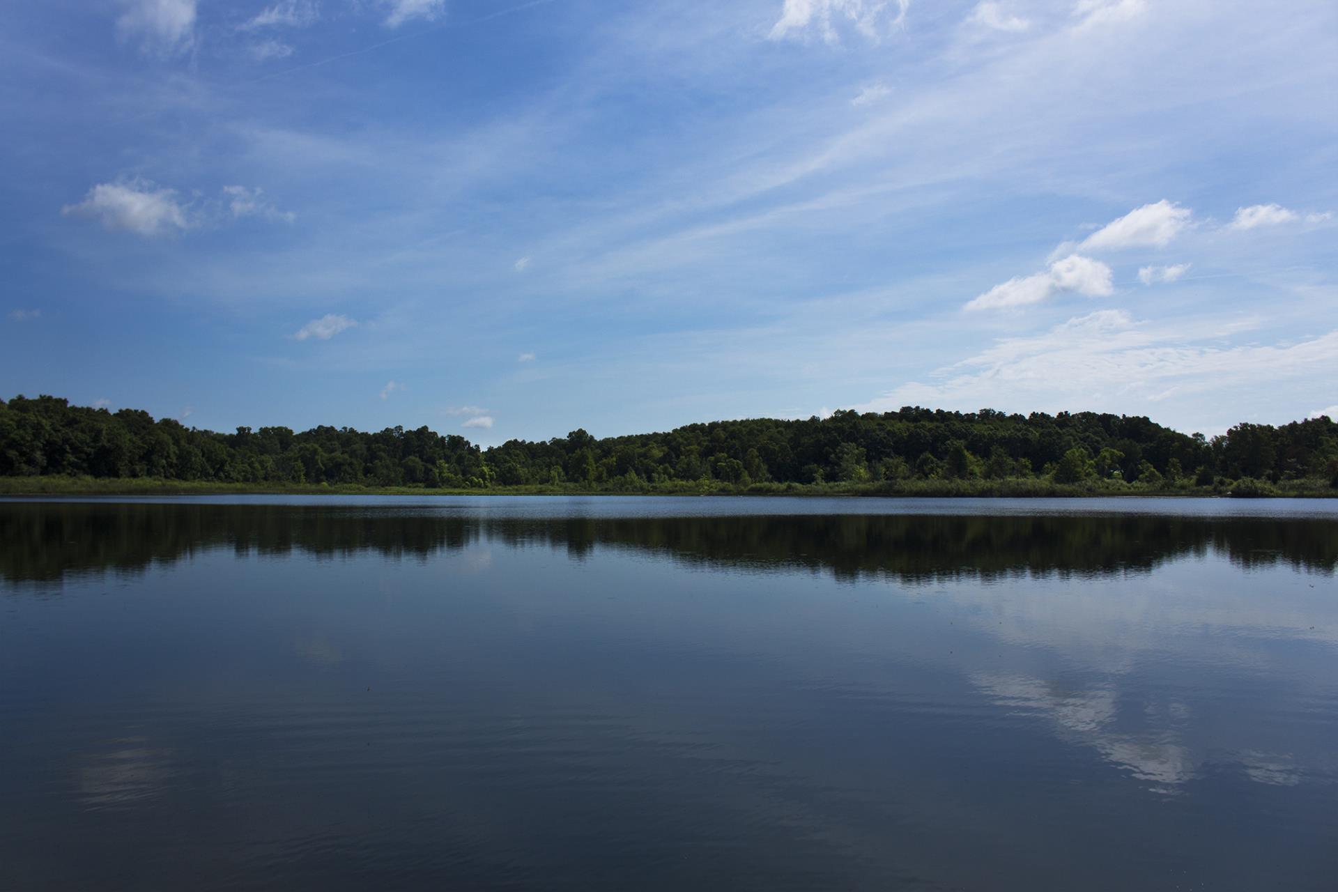 A calm river with dense green forest along the shoreline under a partly cloudy blue sky.