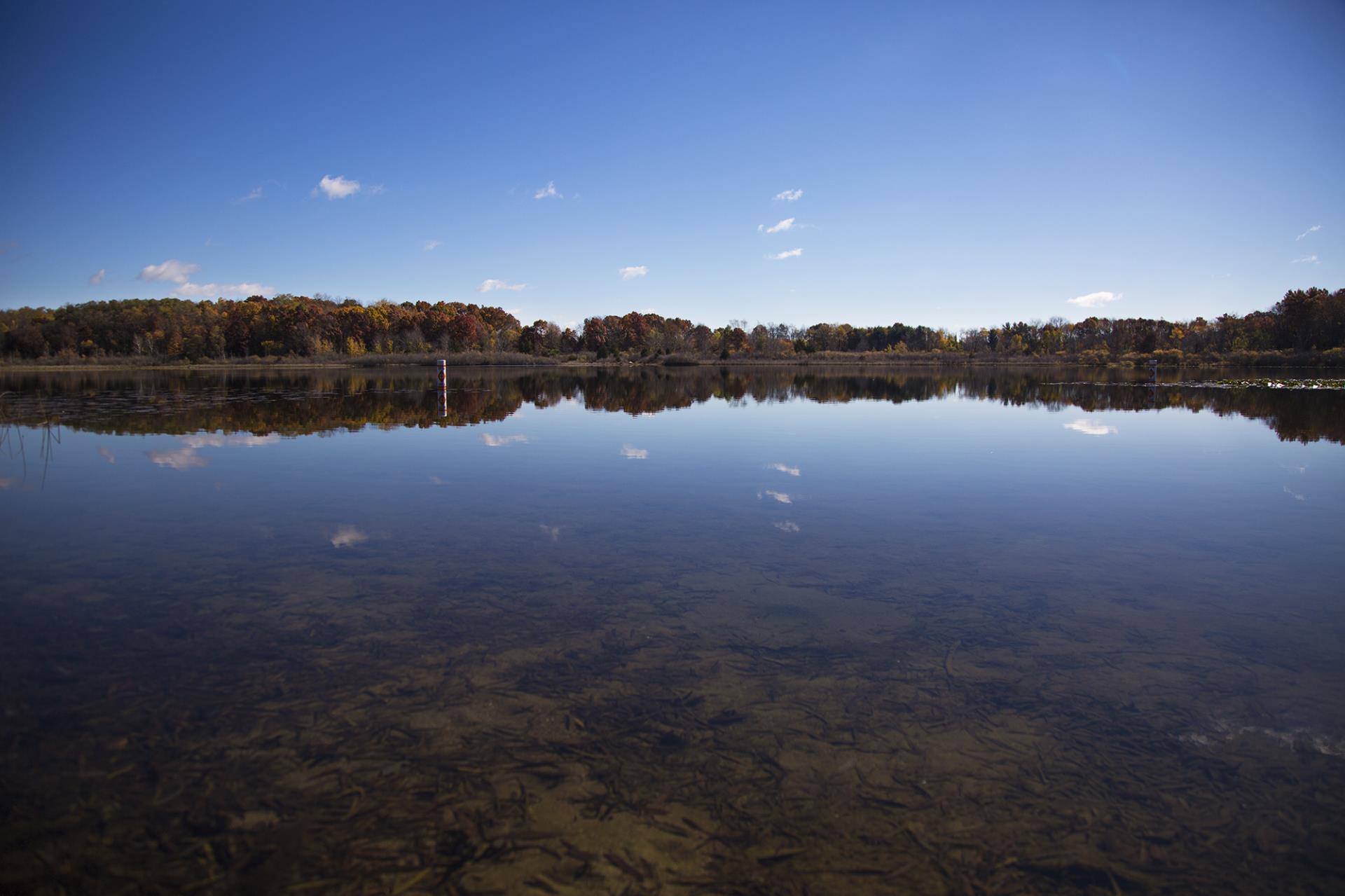 Calm river with autumn foliage reflected in still water under blue sky with scattered clouds.