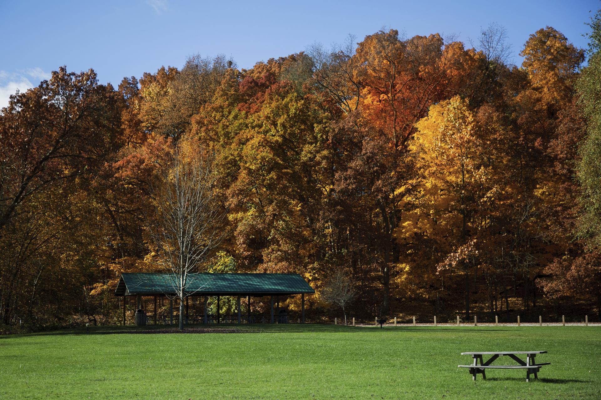 A picnic table sits in a grassy field with a covered pavilion and autumn trees in the background.