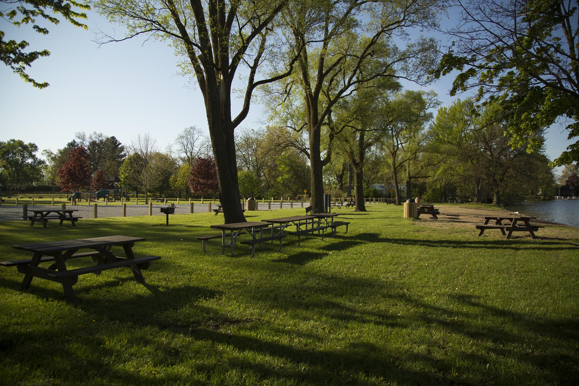 A sunny park with picnic tables scattered across a grassy lawn beneath large shade trees, with a waterway visible on the right.